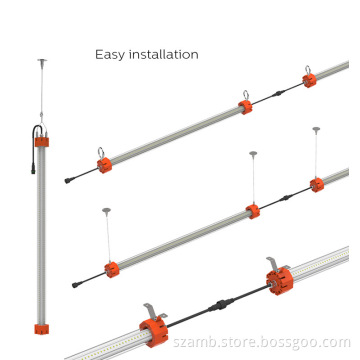 ed soft panel light with SAA,RoHS,CE 50,000H